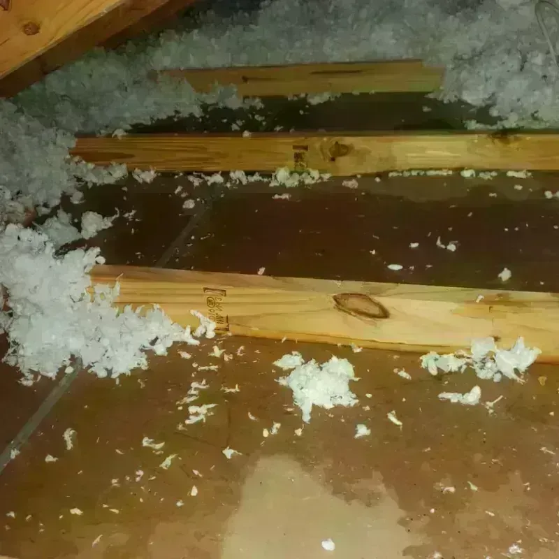 Attic Water Damage in Blue Ridge, AL